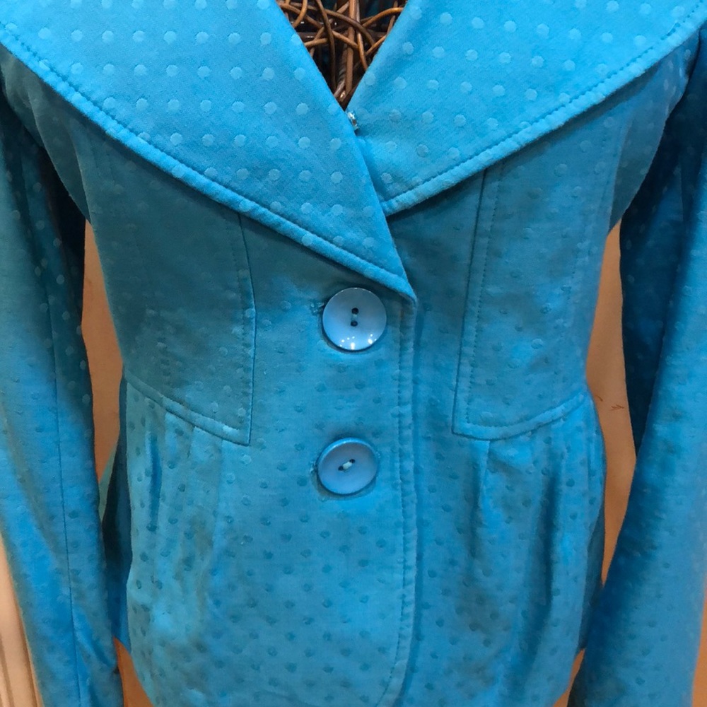 Something Borrowed, Something Blue - image 4